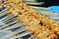 Malaysia Chicken Satay Cooking on a Hot Charcoal Grill
